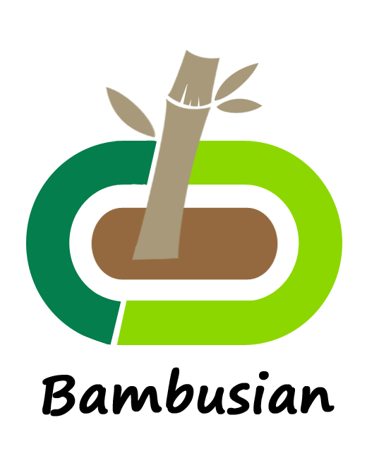 My Bamboo Products